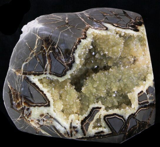 Calcite Crystal Filled Septarian Geode - Utah #33127